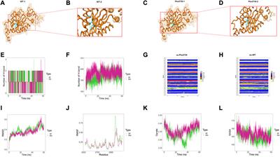 Genetic variations in the DYNC2H1 gene causing SRTD3 (short-rib thoracic dysplasia 3 with or without polydactyly)